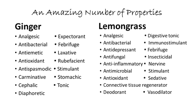 010 Part 2: Essential Oils 7 Picture6 1